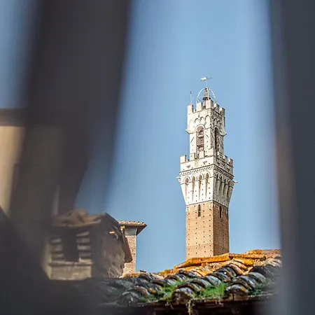 Rose - In Centro Storico Con Balcone Con Vista Siena